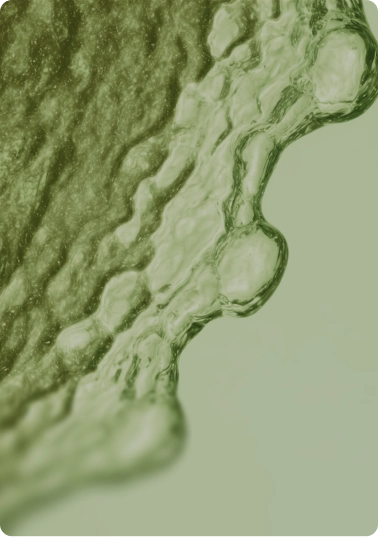 Cellular Function
Balance