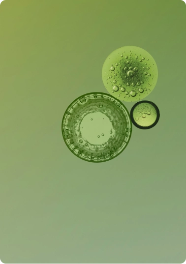 Genetic
Function