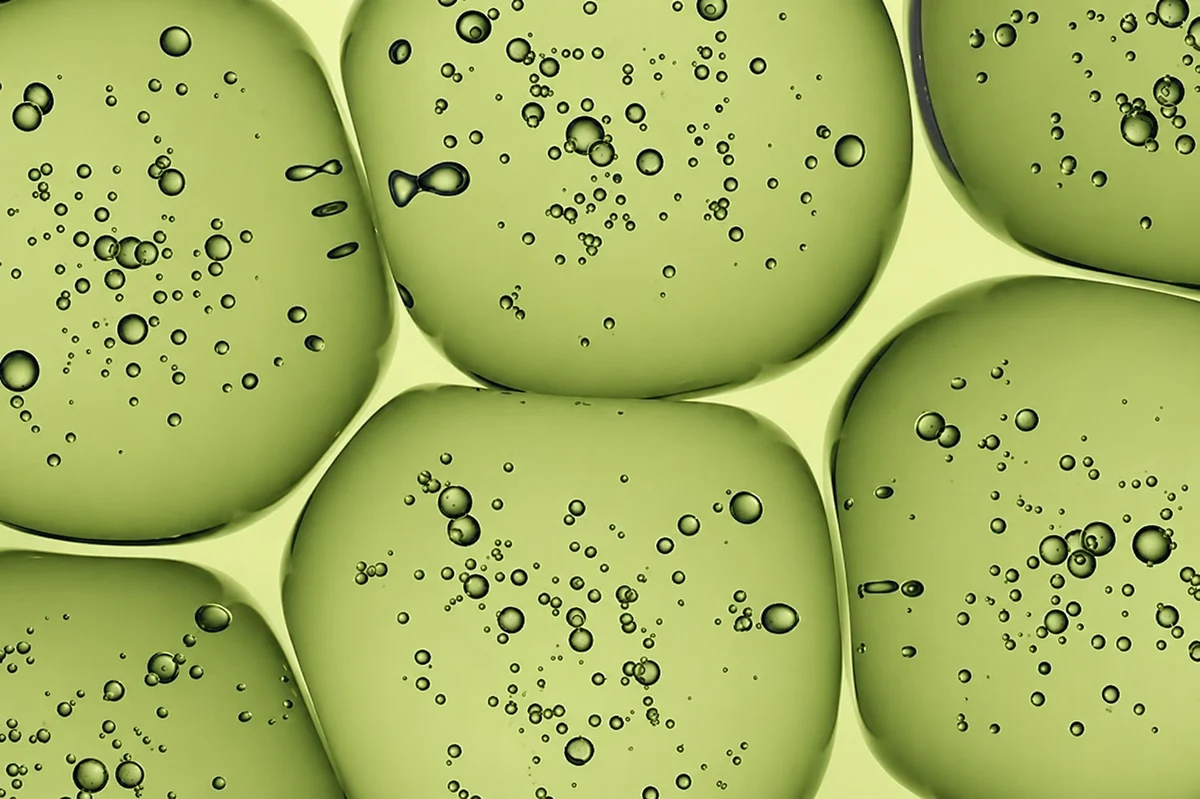 NAROSOME intro image 1