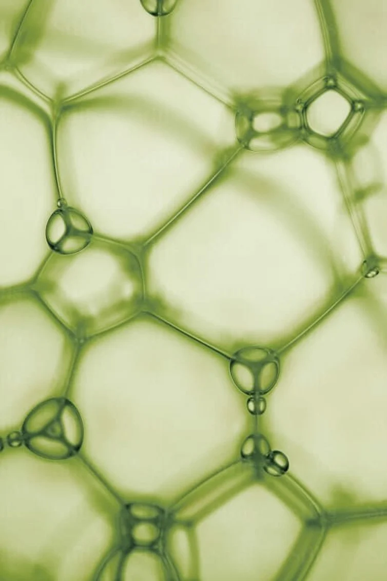 NAROSOME intro image 2